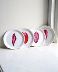 POWER PUSSY 2026 COASTERS