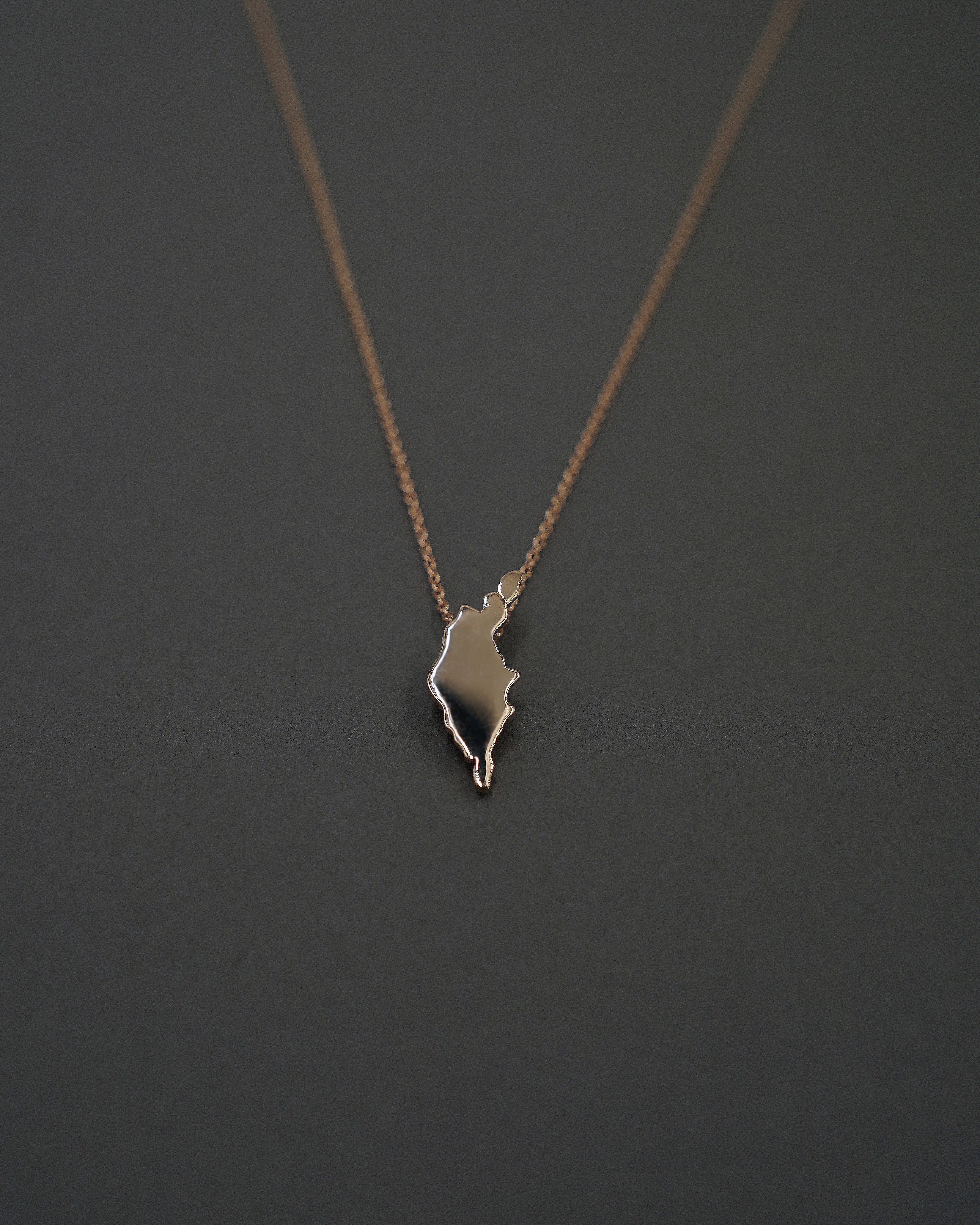 ÖJN HALSBAND GULD