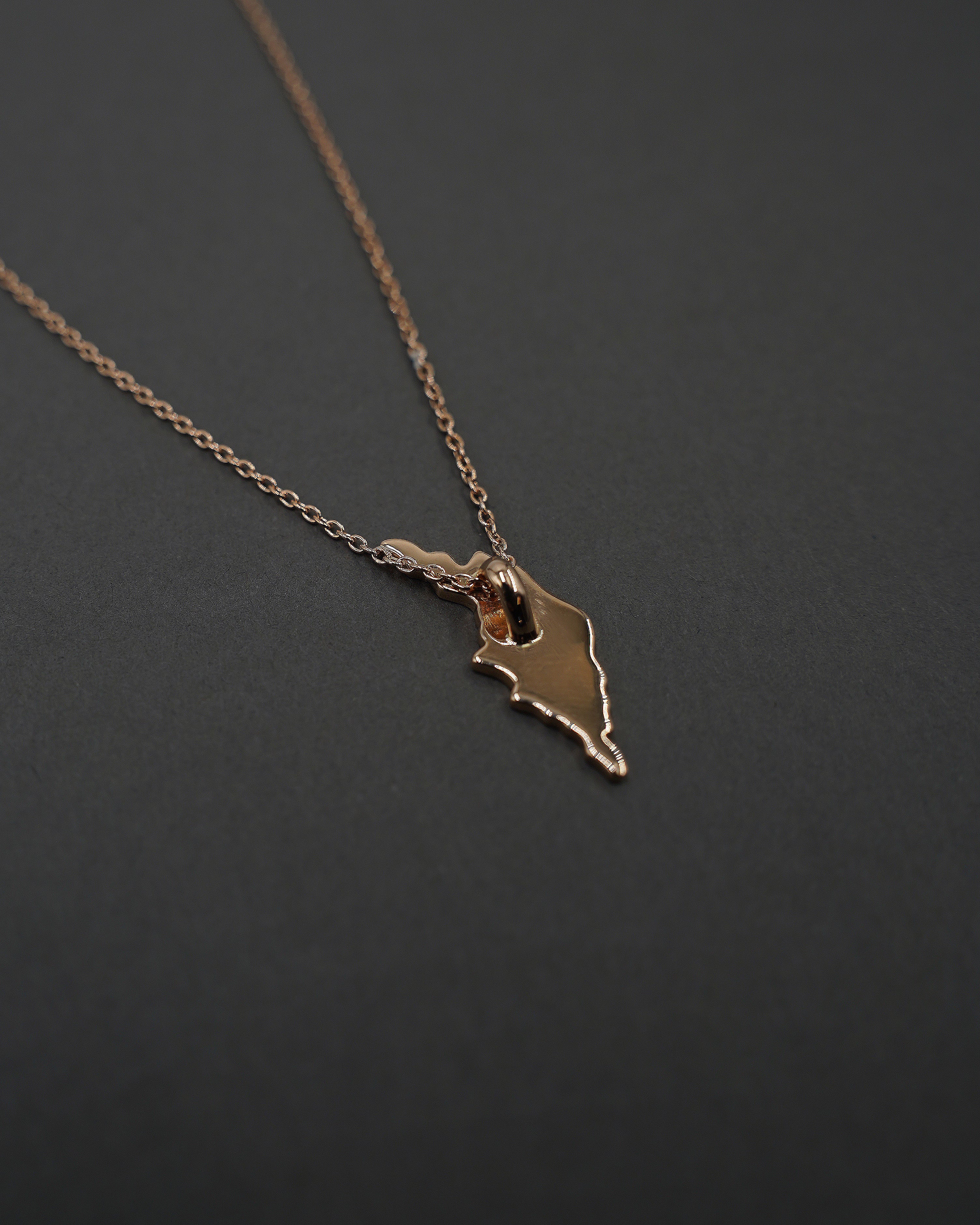ÖJN HALSBAND GULD