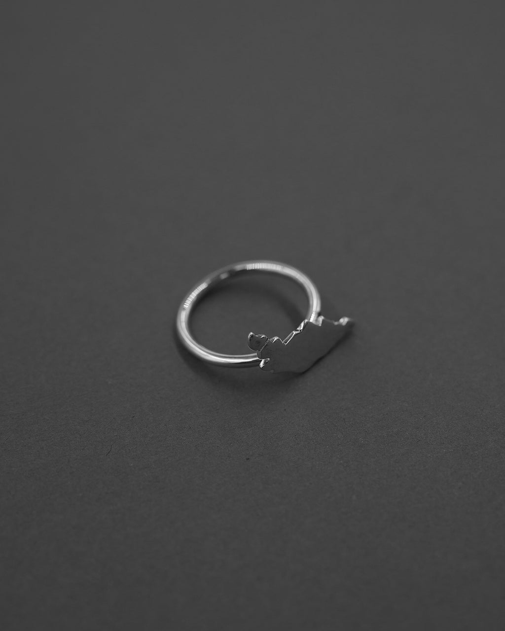 ÖJN RING
