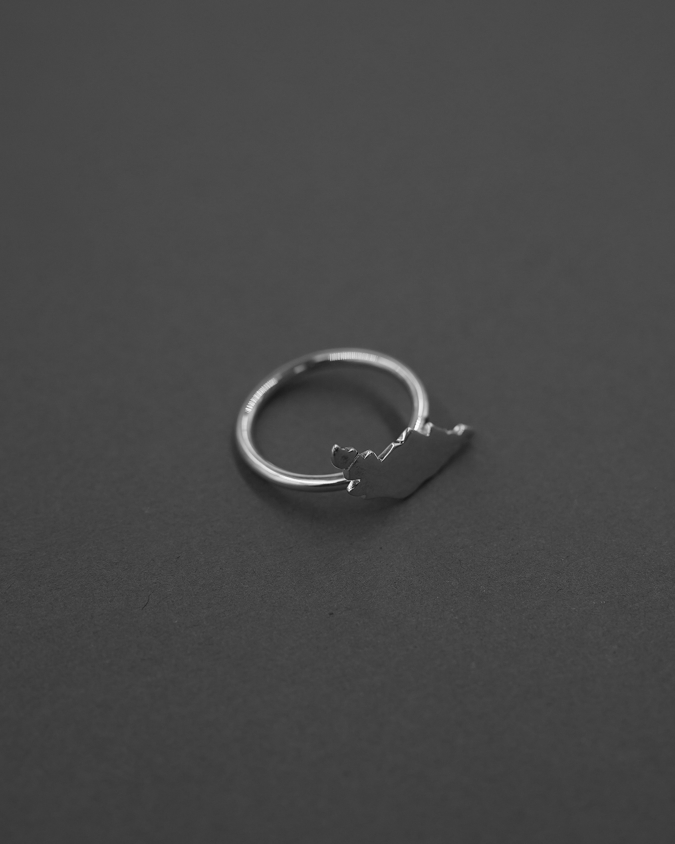 ÖJN RING