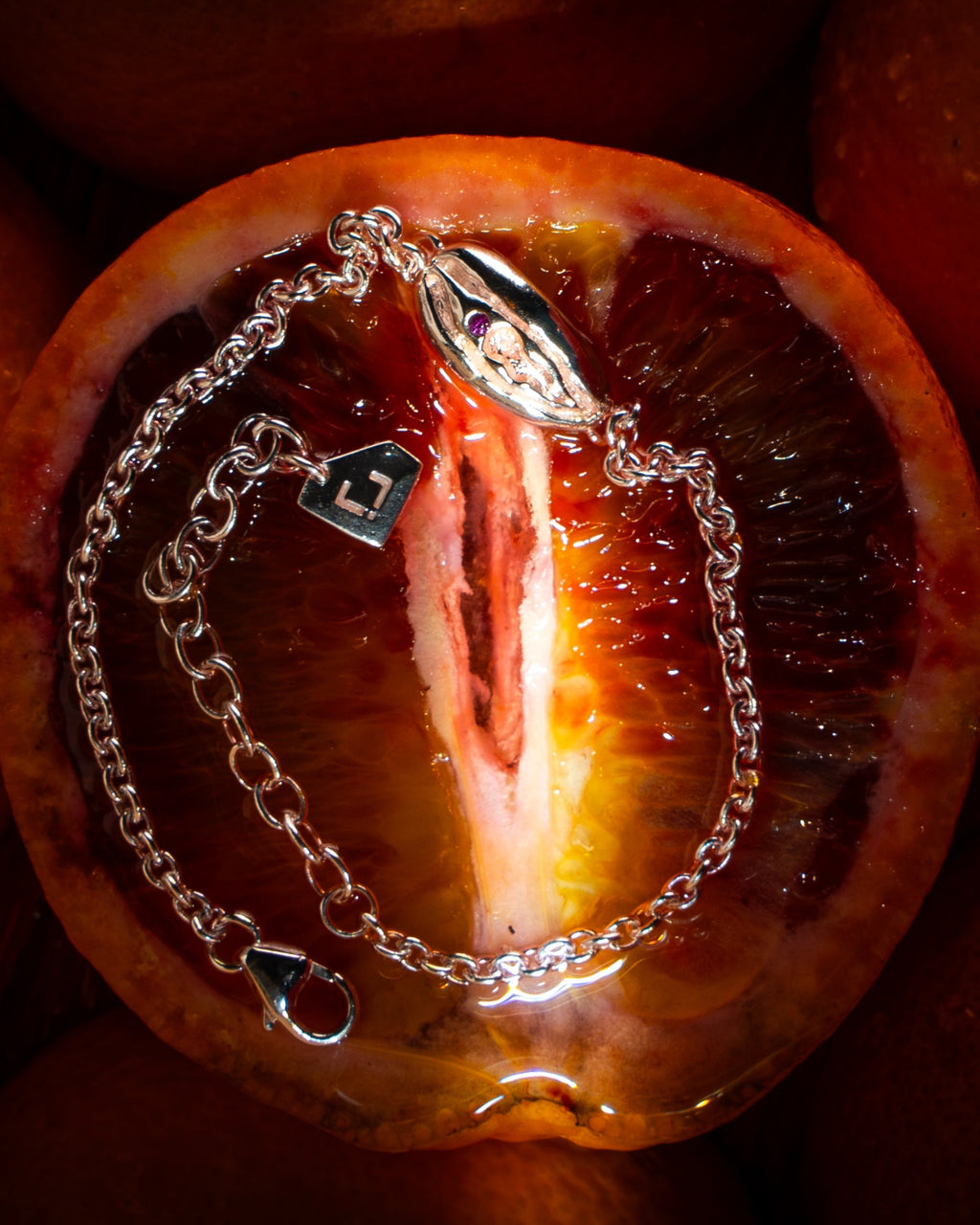 POWER PUSSY 2026 ARMBAND