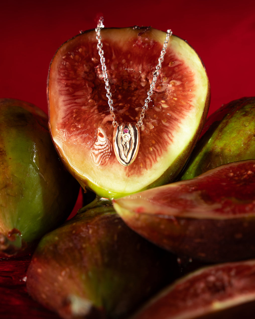 POWER PUSSY 2026 HALSBAND