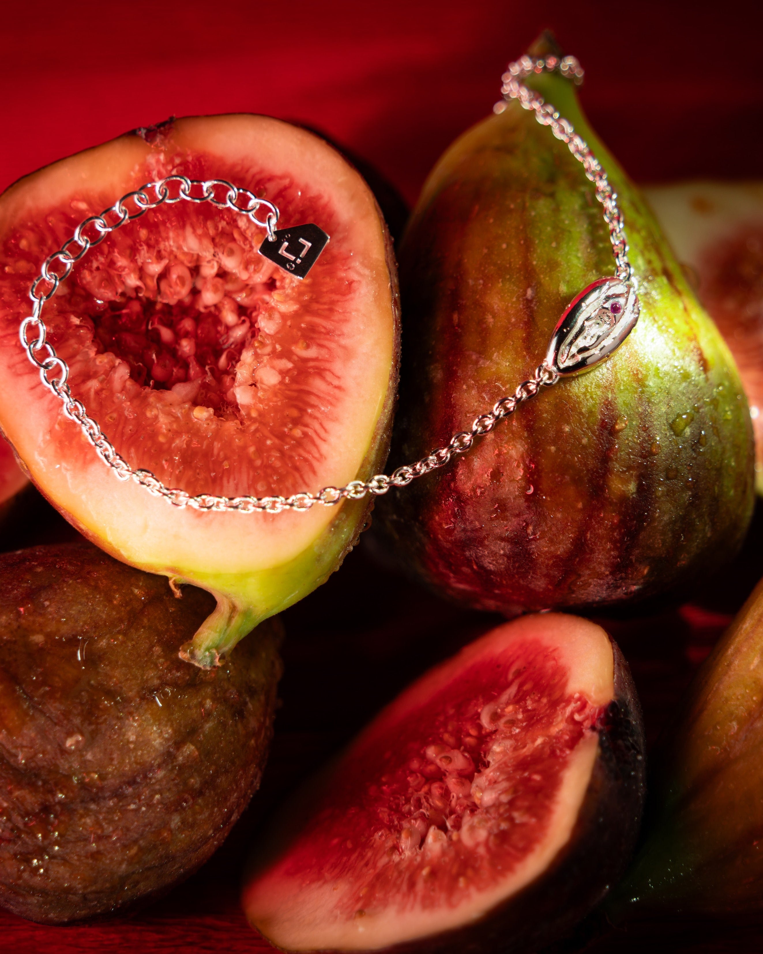 POWER PUSSY 2026 ARMBAND