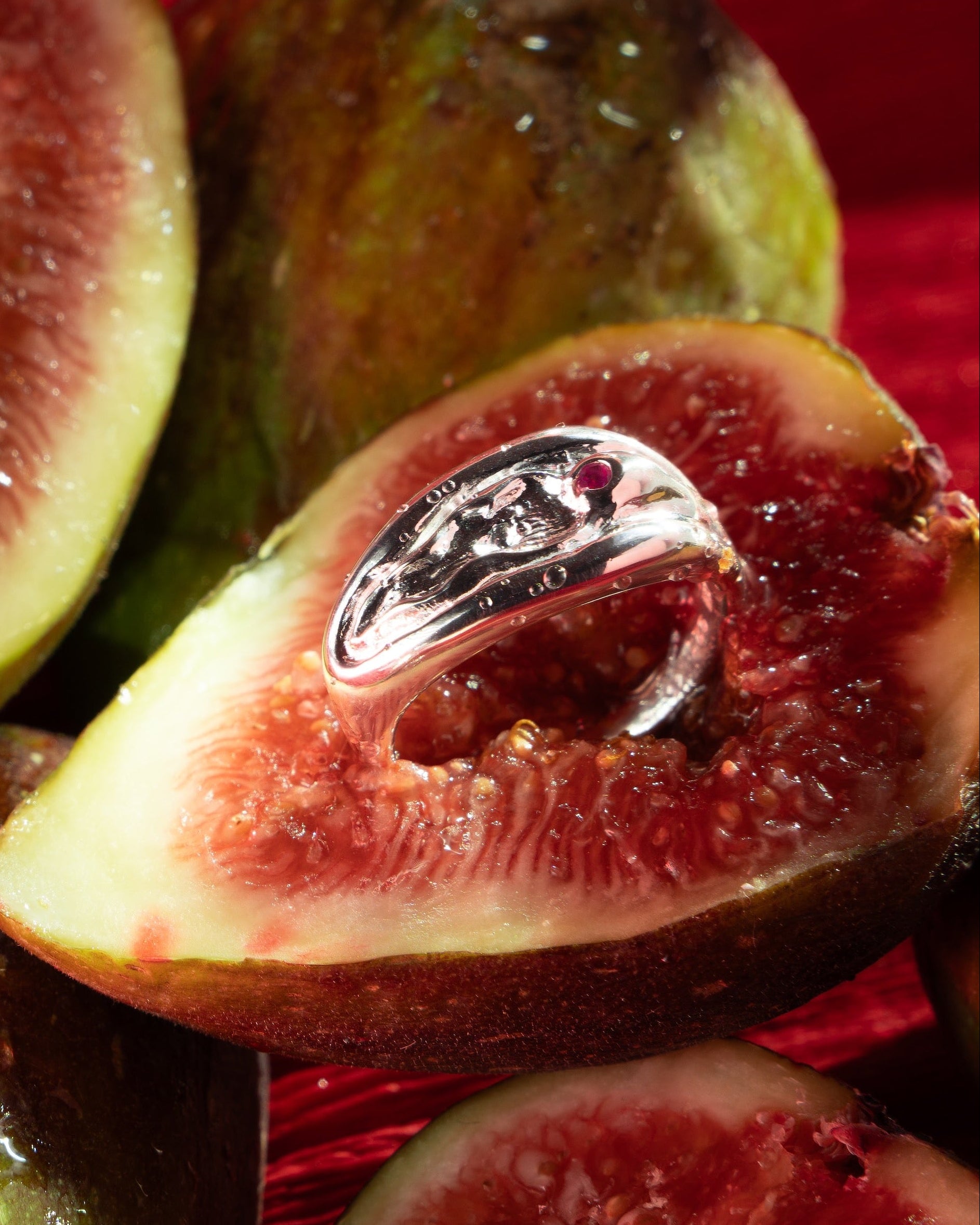 POWER PUSSY 2026 RING