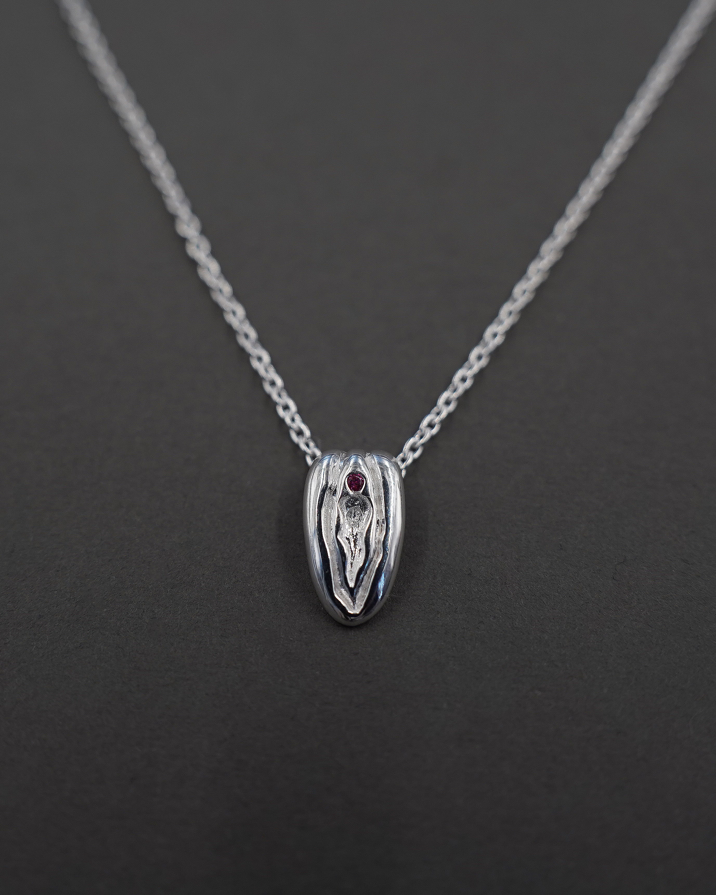 POWER PUSSY 2026 HALSBAND