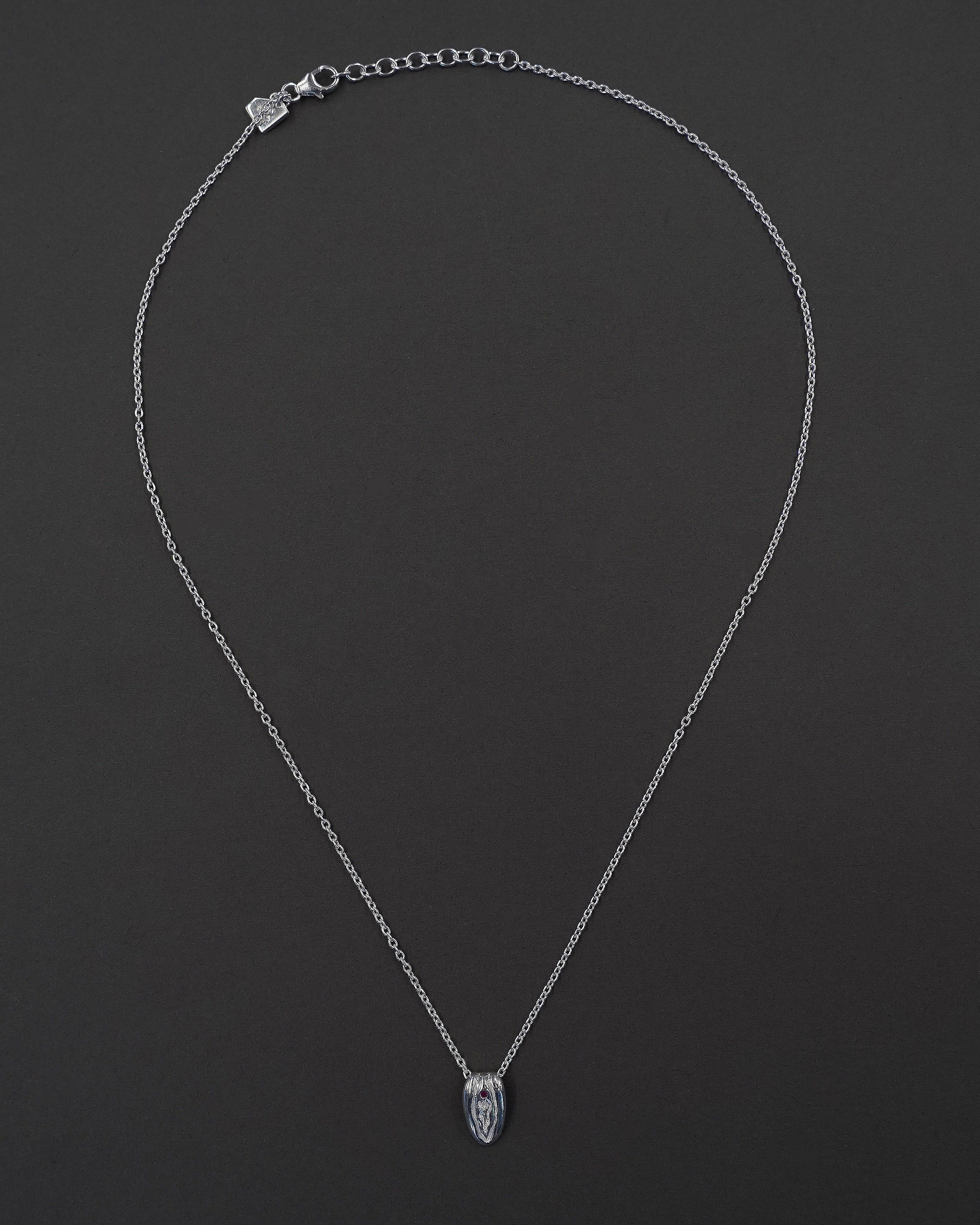 POWER PUSSY 2026 HALSBAND