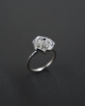 ROS RING M