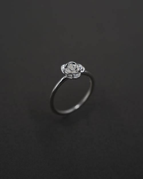 ROS RING S