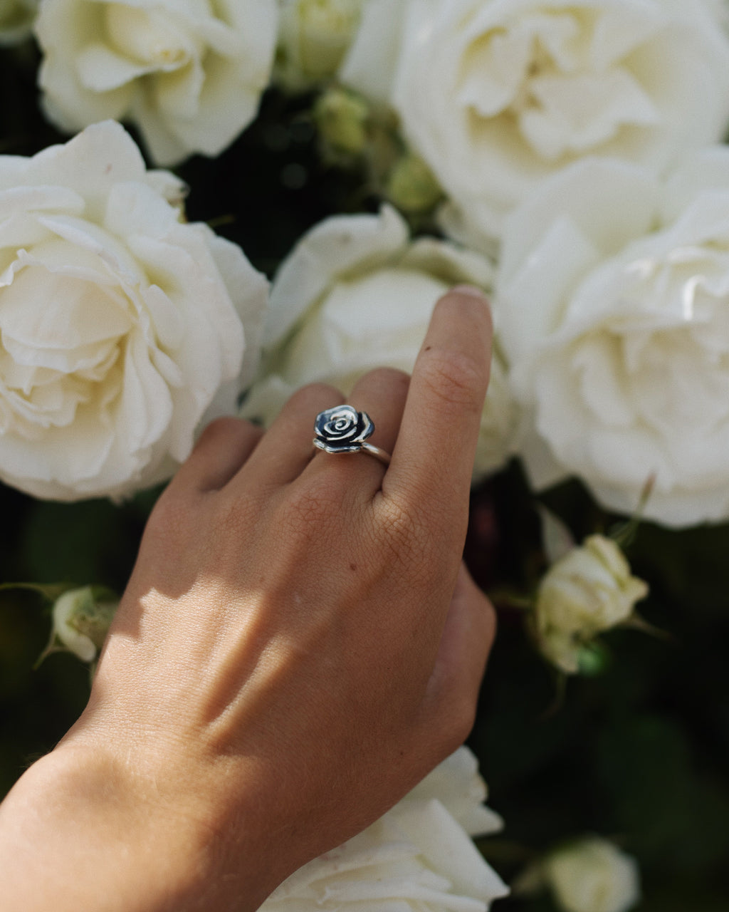 ROS RING OXIDERAD M