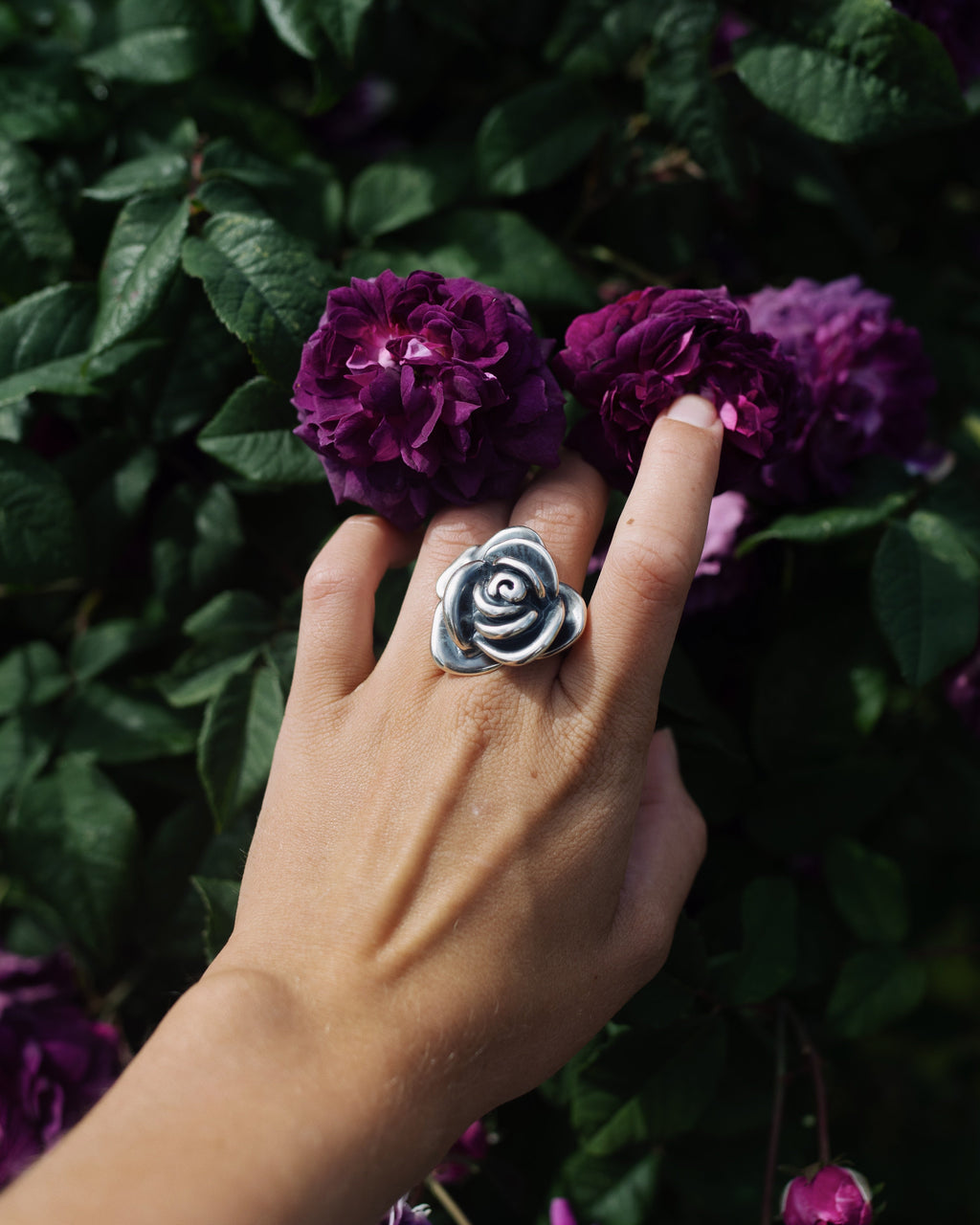 ROS RING OXIDERAD XL